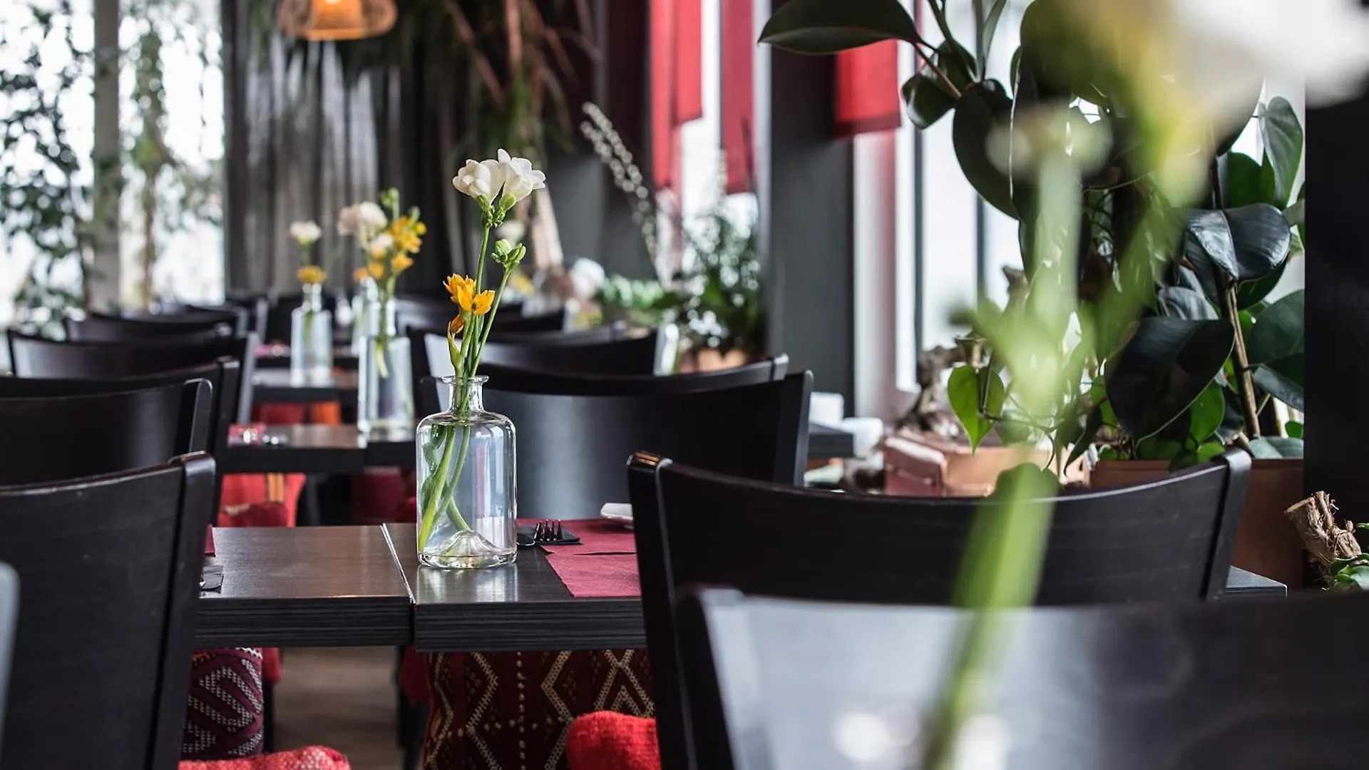 Homaris West Side (Adults Only) Otel Berlin